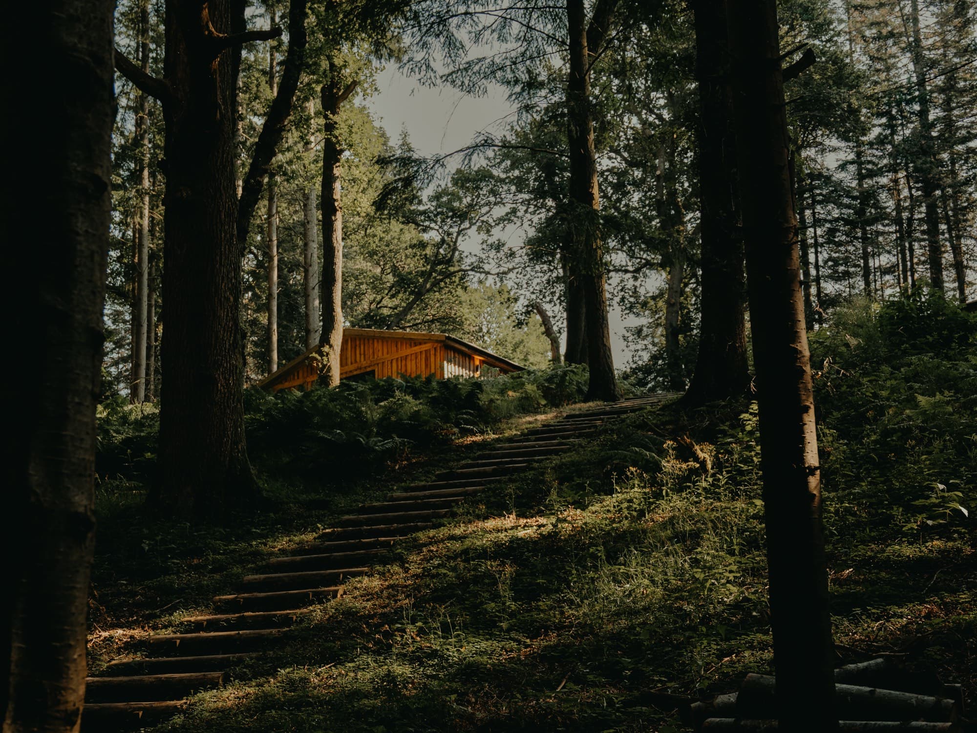 Steps climbing through the pines toward the retreat cabin